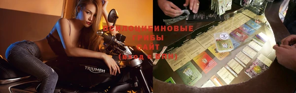 стаф Карталы