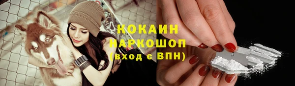 стаф Карталы