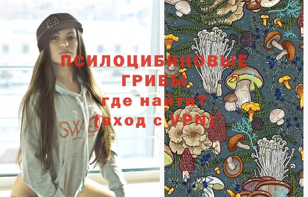 стаф Карталы