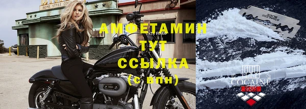стаф Карталы