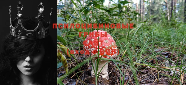 стаф Карталы