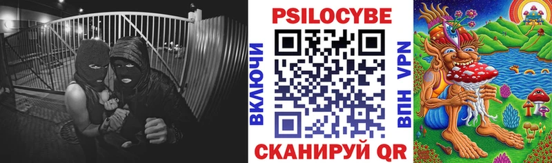 Псилоцибиновые грибы мицелий  Купить закладки  Муравленко 